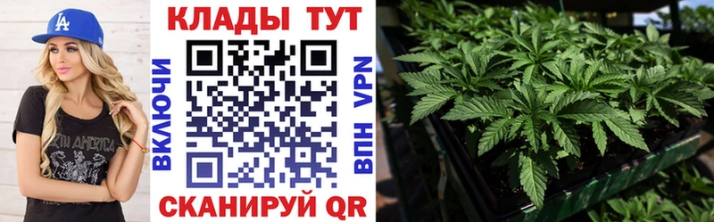 Купить Alpha PVP Меф мяу мяу Марихуана Игра