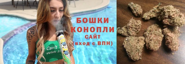 скорость Ельня