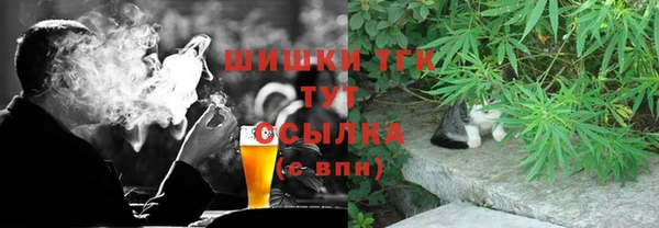 скорость Ельня