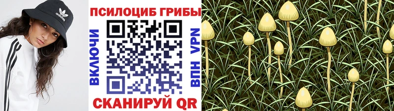 Галлюциногенные грибы мицелий  Купить закладки  Игра 