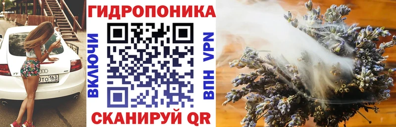 Бошки марихуана OG Kush  Купить закладки  Игра 